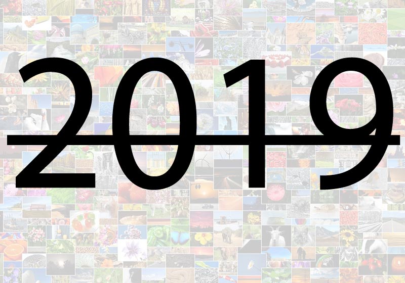 Foto: Pixabay/ Arte Snb