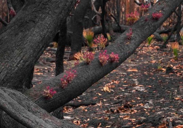 Foto: Mary Woorvinde