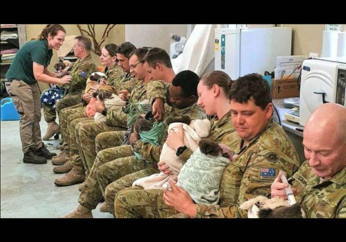 soldados-coalas-close Soldados alimentam coalas órfãos - Foto: 9ª Brigada Exército Australiano / Facebook