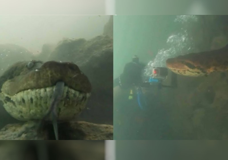 Foto: reprodução YouTube