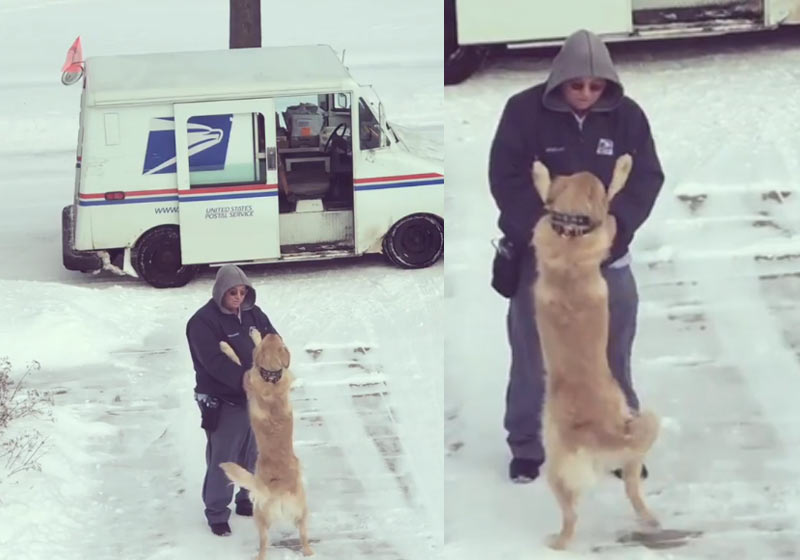 Moose e o carteiro - Fotos: reprodução / Instagram