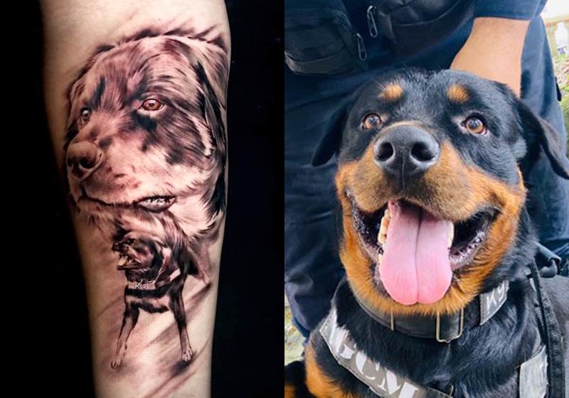 Thor vira tatuagem no braço de Hugo - Fotos: divulgação / Prefeitura de São Vicente||