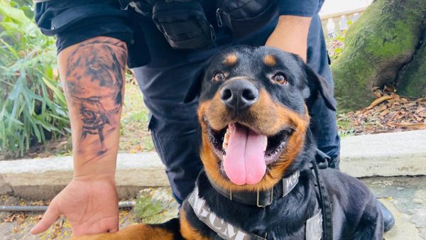 O braço de Hugo e Thor - Foto: divulgação / Prefeitura de São Vicente