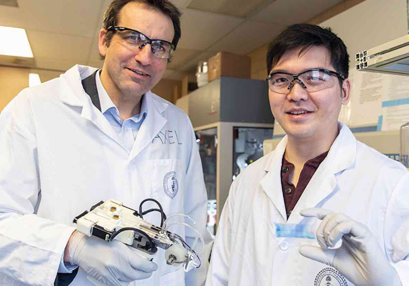 Foto: Daria Perevezentsev