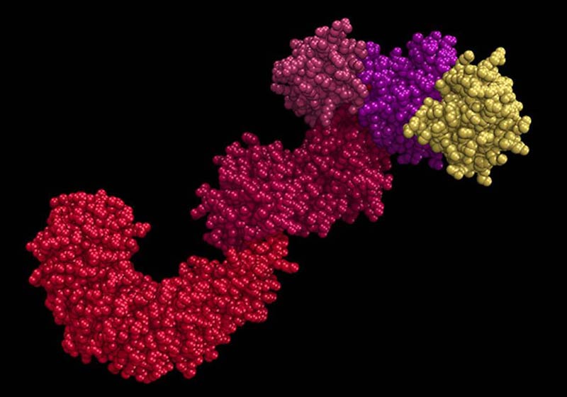 A proteína receptora NLRP3 - Foto: MLGProGamer123