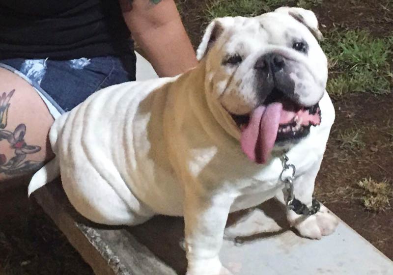 Peter Parker - Foto: arquivo pessoal||||