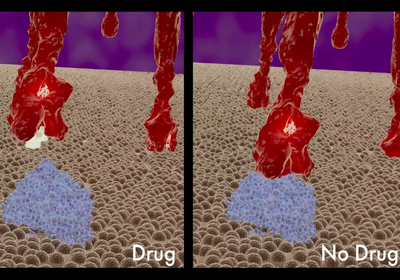 Foto: Reprodução/Michelle Lehman