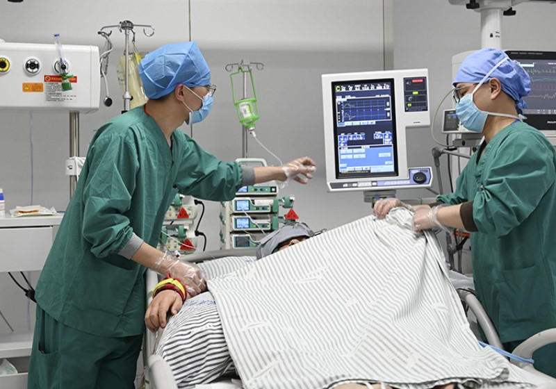 Foto: reprodução Nature