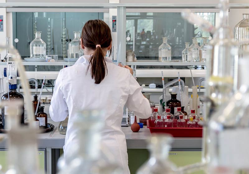 Foto: Michal Jarmoluk / Pixabay|Foto: JanVasek/Pixabay