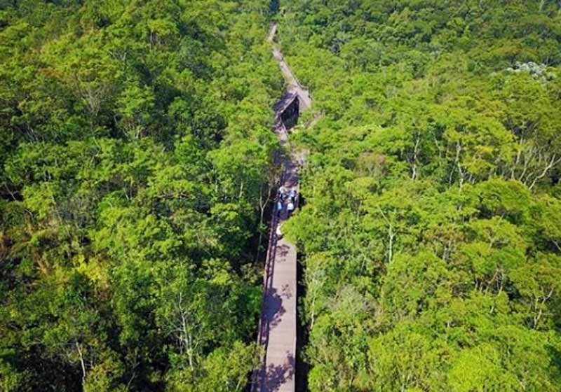 Trilha do Parque Ecológico Imigrantes - Foto: reprodução / Instagram