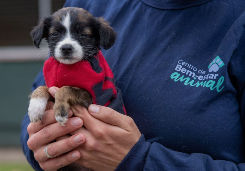 Foto: Vinicius Thormann / Prefeitura de Canoas