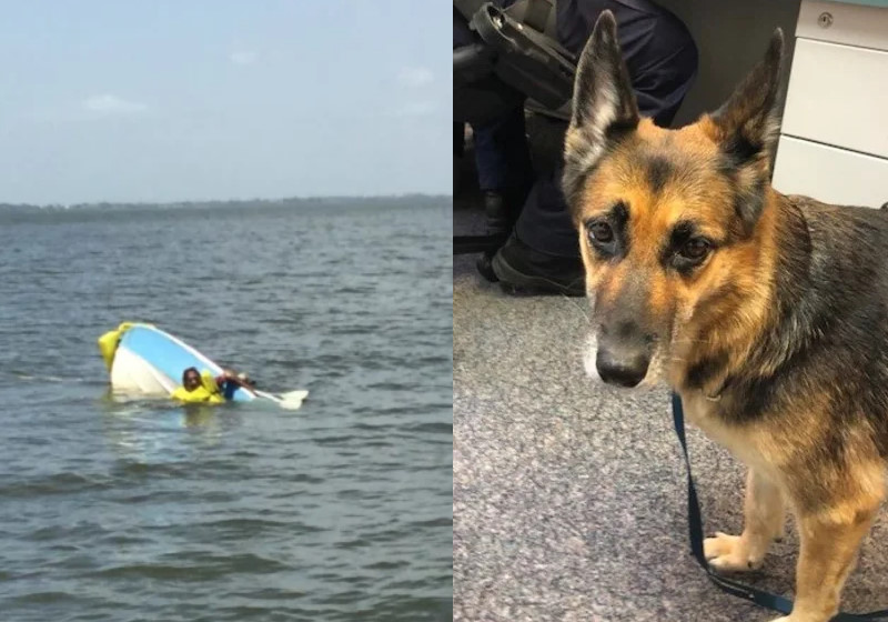 Foto: QUEENSLAND POLICE|Cena de gratidão Foto: QUEENSLAND POLICE