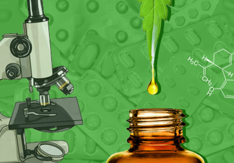 Imagem: Luana Franzão / Jornal da USP