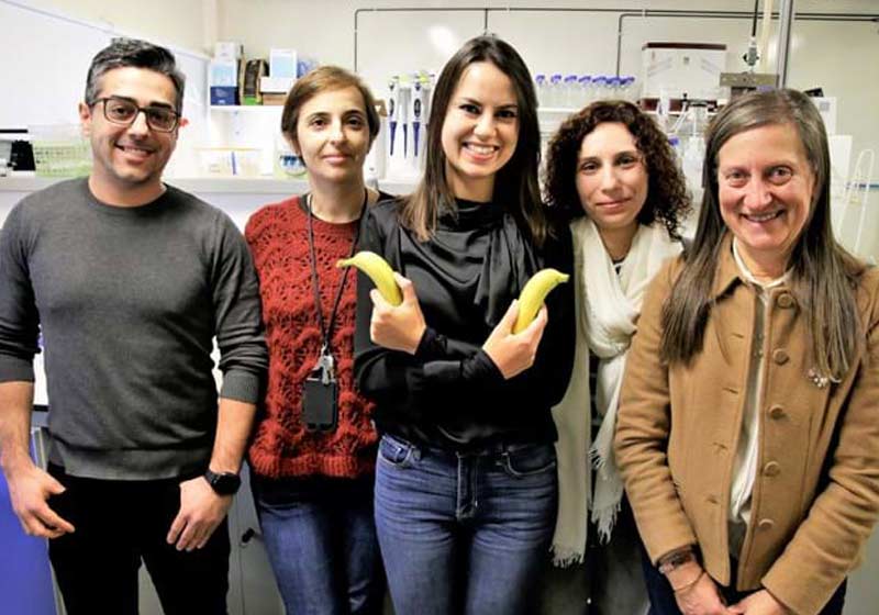 Pesquisadores da Universidade de Aveiro - Foto: reprodução / Jornal de Negócios