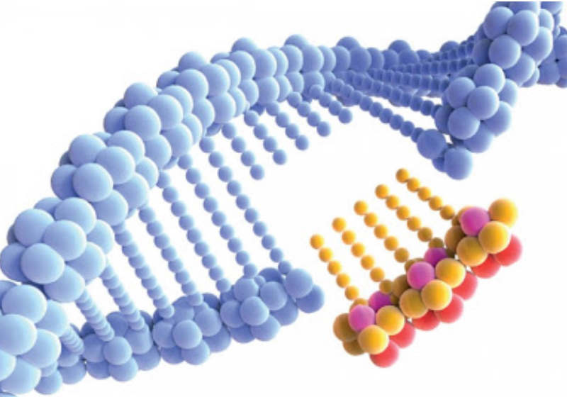 Foto: Agência Fapesp
