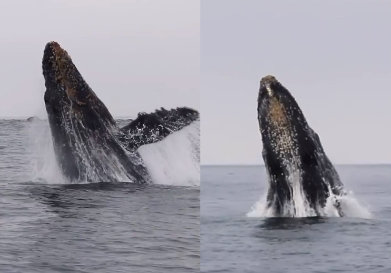 Foto: reprodução Instagram