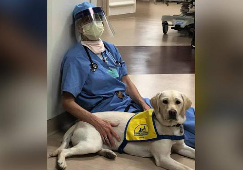 Wynn no trabalho - Foto: reprodução / Susan Ryan|