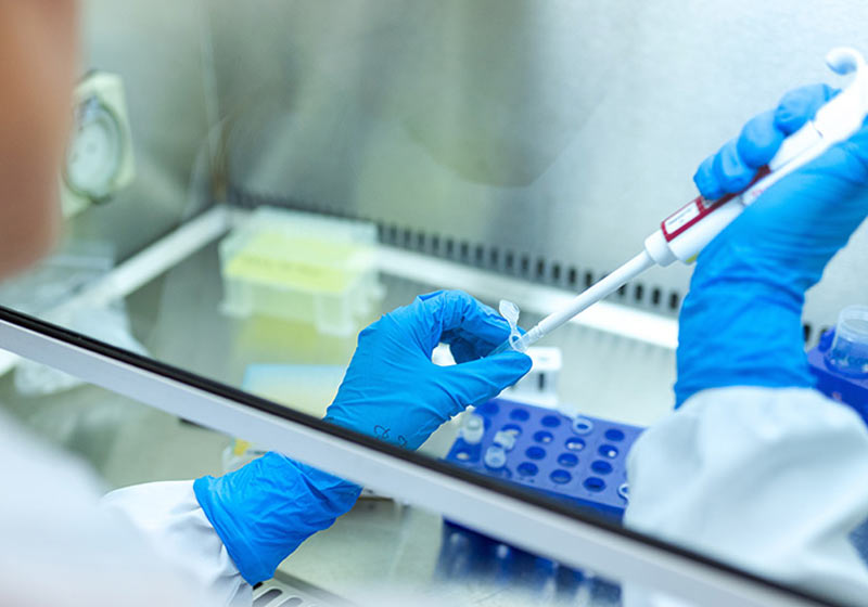 Foto: ThisEngineeringraeng / Unsplash