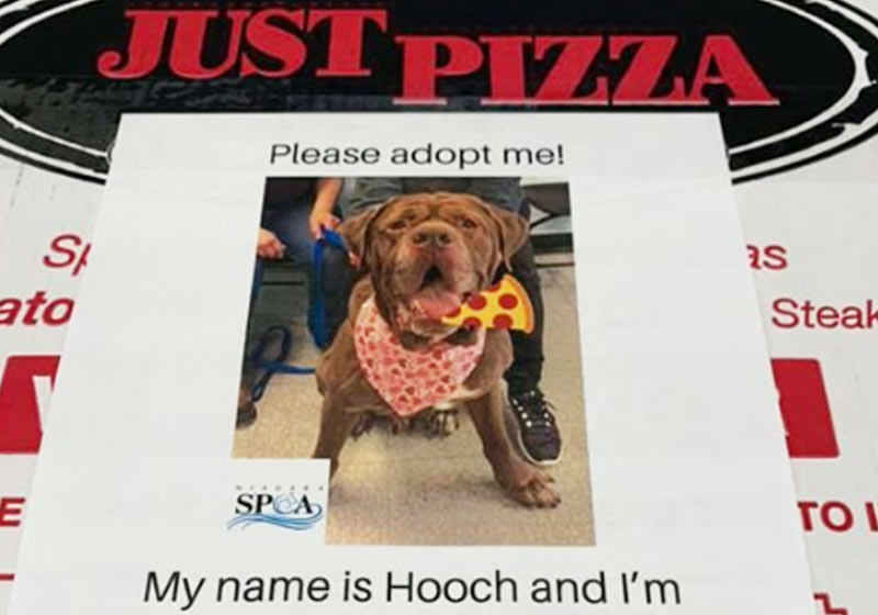 Foto: reprodução / Facebook