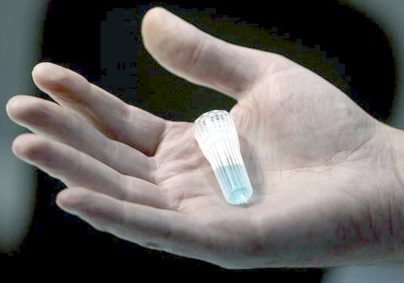 Foto: reprodução Daily Mail