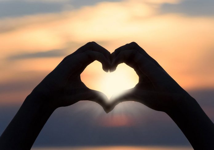 twitter-gratidao-close-2 Foto: Photo Mix / Pixabay