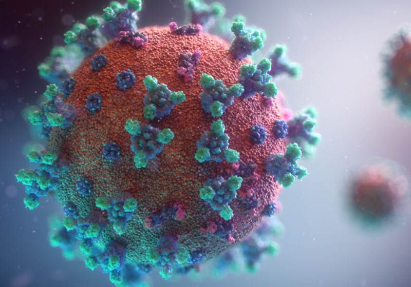 Foto: Fusion Animation