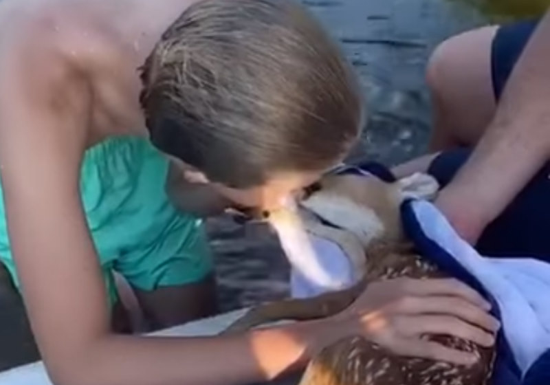 Foto: reprodução Facebook