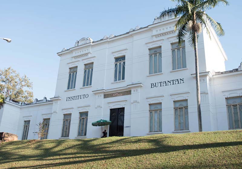 Instituto Butantan/SP - Foto: arianepergon / Pixabay
