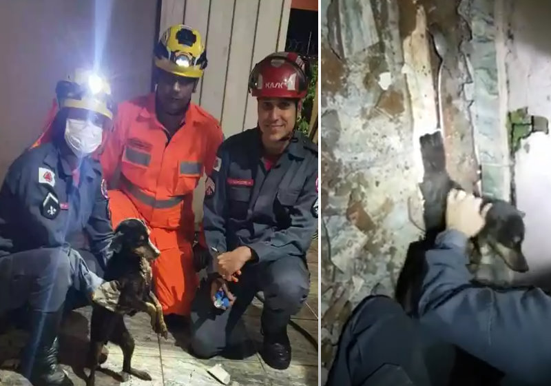Foto: reprodução Estado de Minas/Corpo de Bombeiros de Uberaba/MG
