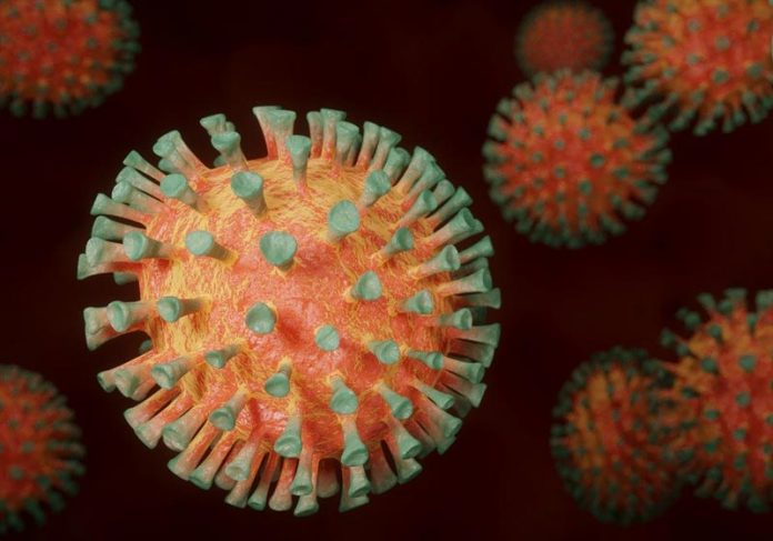 cancer-covid-remedio-close Covid-19 - Foto: Daniel Roberts / Pixabay