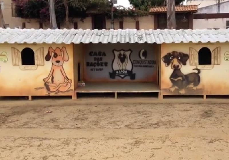 CãoDomínio - Foto: reprodução / Instagram