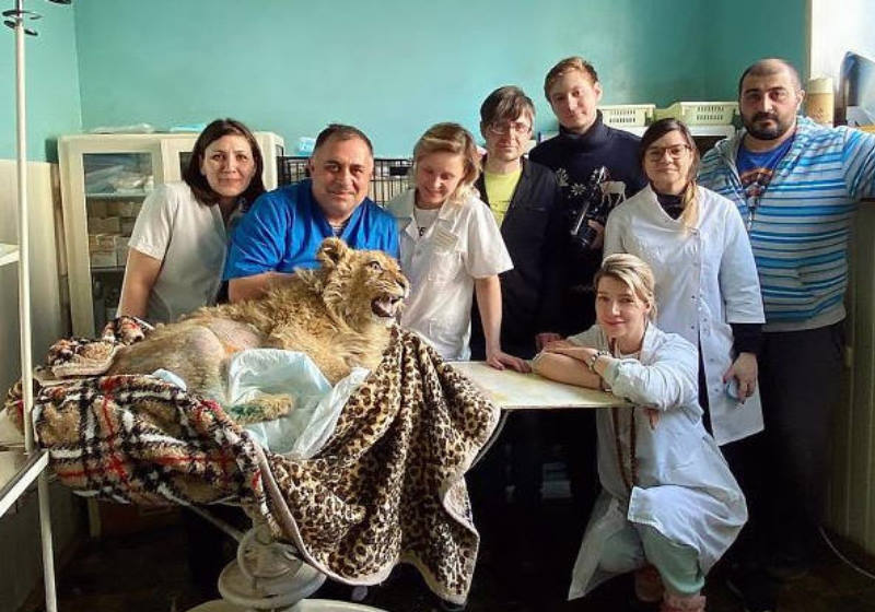 Simba com a equipe médica que o resgatou Foto: Instagram