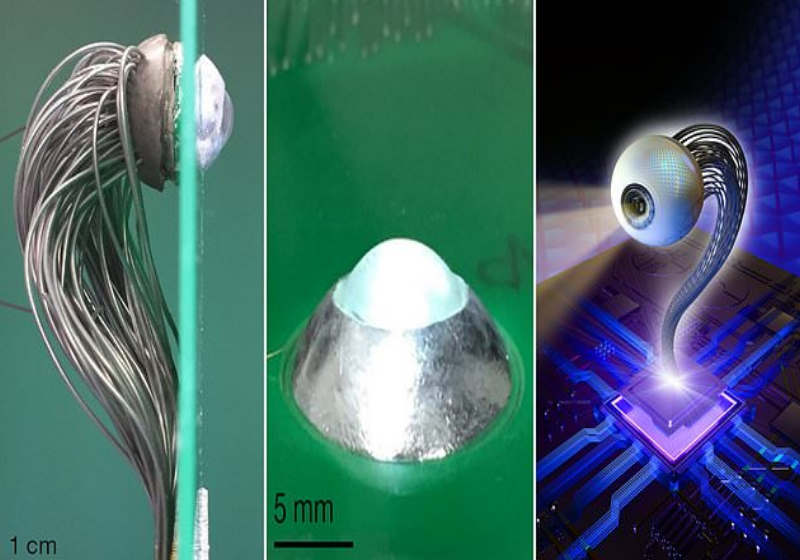 Foto: reprodução Daily Mail