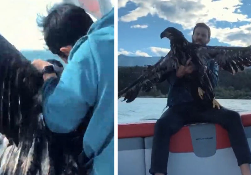 Foto: reprodução YouTube