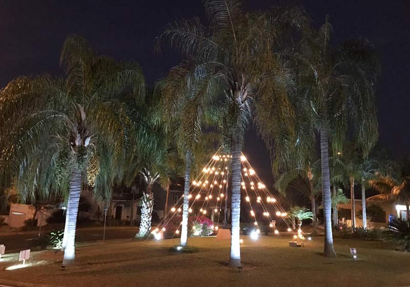 Luzes de Natal e julho - Foto: divulgação