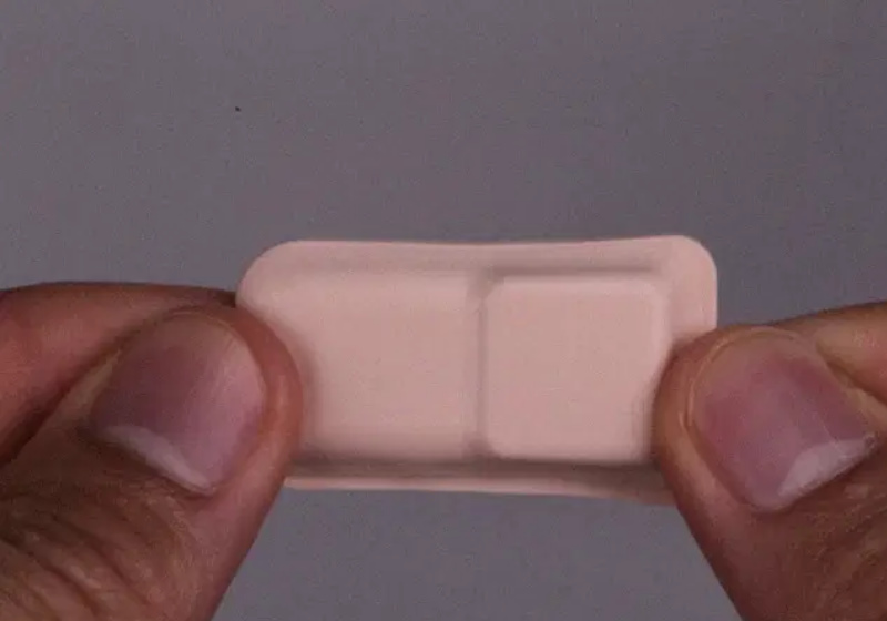 Foto: Northwesterny Universty