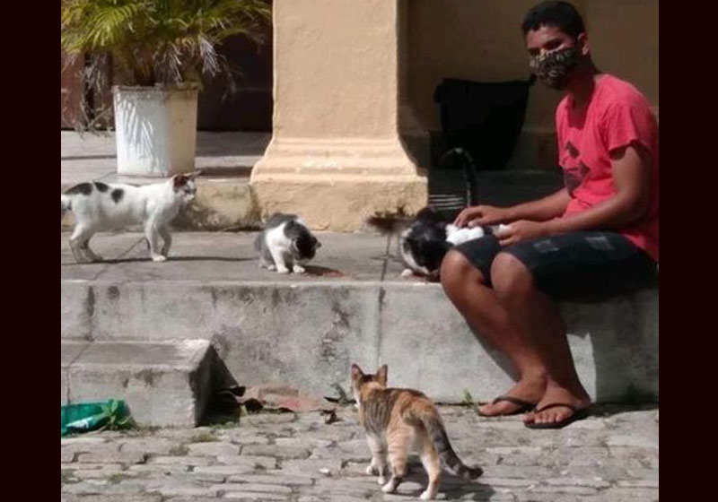 Jonathan com gatos no cemitério - Foto: aqr