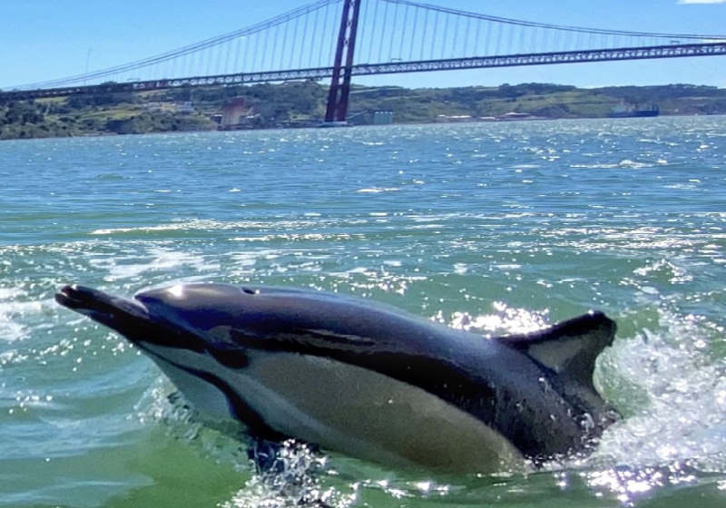 Foto: BMW Sailing Academy