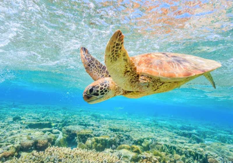 Foto: Michael Smith ITWP/Shutterstock