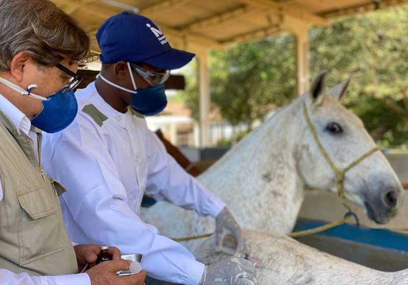 Foto: Instituto Vital Brazil