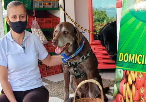 Eros em frente à mercearia de onde sai com as entregas