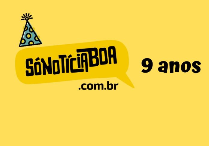snb 9 anos Arte: SNB