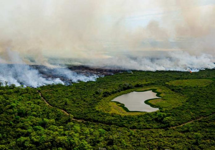 Incêndio no Pantanal - Foto: Mayke Toscano/Secom-MT/Ago2020