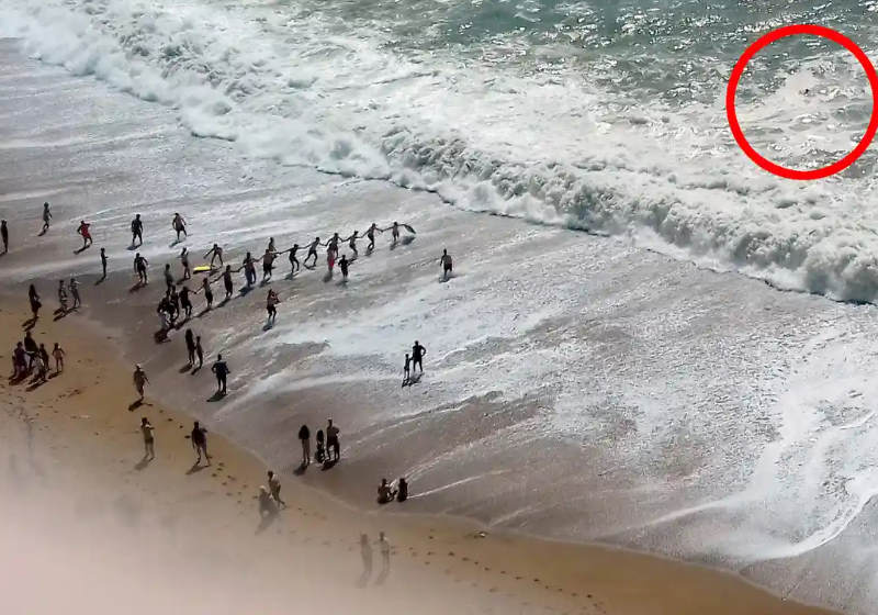 Foto: RichardMarkham / BNPS