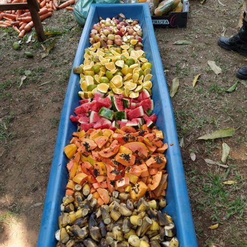 Alimentos levados ao Pantanal - Foto: divulgação