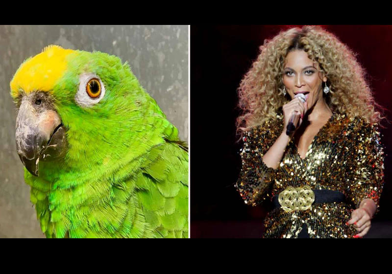 Foto: reprodução facebook