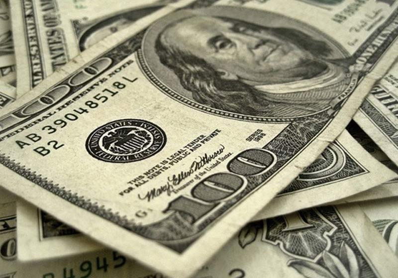 Notas de dólar - Foto: reprodução / Fox8
