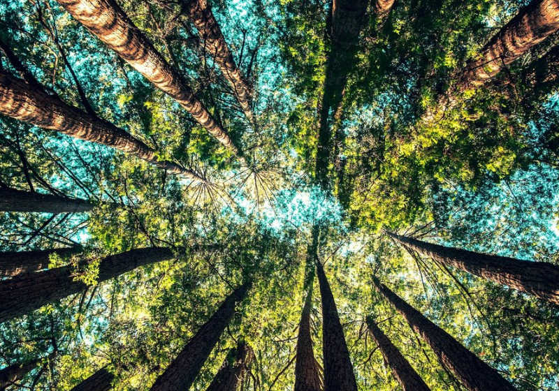 Foto: Global Citizen