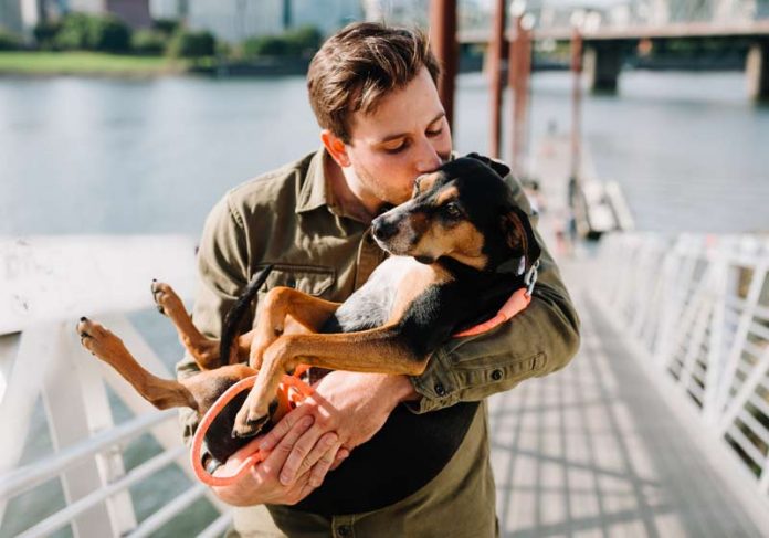 caes-eu-te-amo-close Homem beijando cão - Foto: Unsplash / Chewy