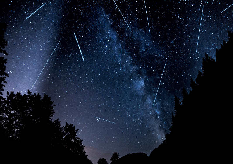 Foto: reprodução The Independent